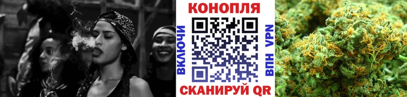 Бошки Шишки план  Спасск-Дальний 